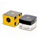 #31 Bee Venom Cream